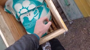 февральская подкормка пчел медовыми лепешками 15.02.2023