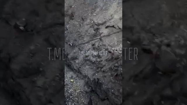 Разорванная на части 2C1 "Гвоздика" ВСУ. смотреть онлайн