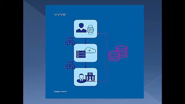 Презентация VYVO. Шлотова Ирина смотреть онлайн