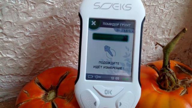 Помидоры дачные. Замеры на нитраты. смотреть онлайн