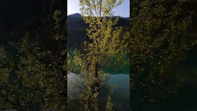 Ялта Берюзовое озеро на против Медведь горы смотреть онлайн