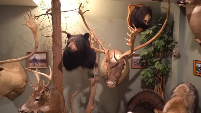 Whitetail Cribs: Eastern Pennsylvania Trophy Room
