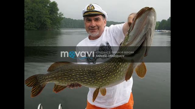 14 особенностей щуки смотреть онлайн