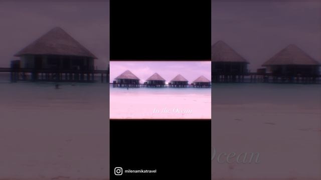 2022-10-30 смотреть онлайн