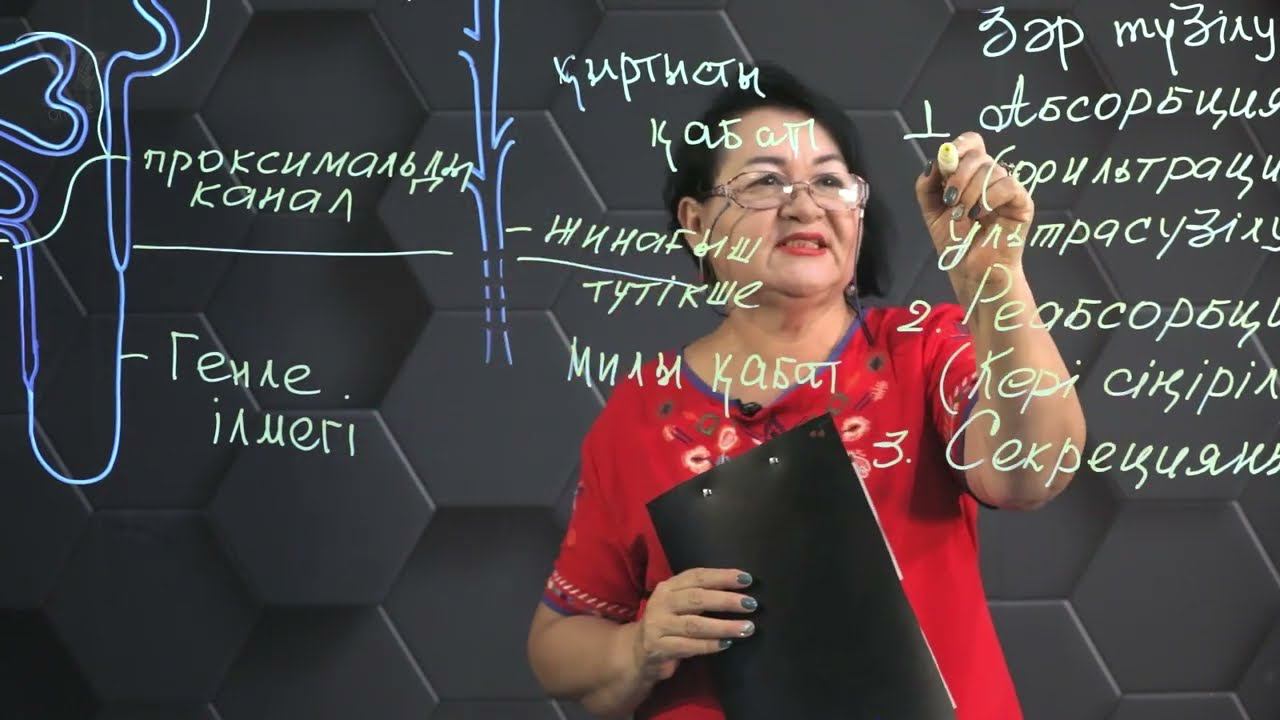 Абсорбция және реабсорбция. Зәрдің түзілуі. 1 бөлім. 10 сынып. смотреть онлайн