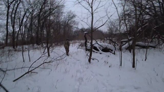 Охота с вышки на кабана в охотхозяйстве Кинделинское смотреть онлайн