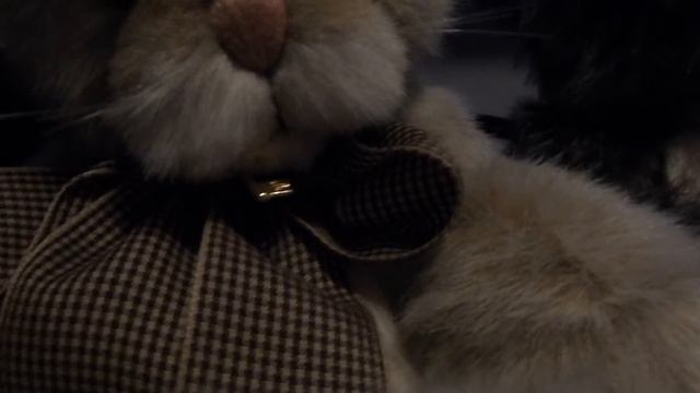 Possessed By Spirit Of A Wild Animal Inside Thumper Rabbit смотреть онлайн