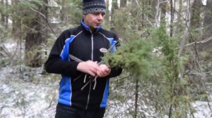 Как связать веник из можжевельника