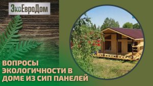 Экология и дом из СИП панелей