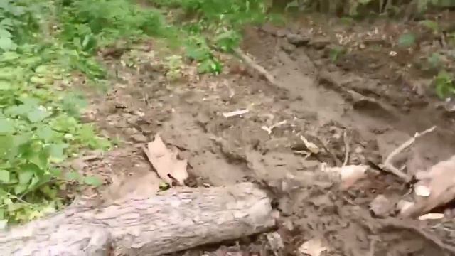 самодельный вездеход БАРСИК. Прогулка БАРСИКА. смотреть онлайн