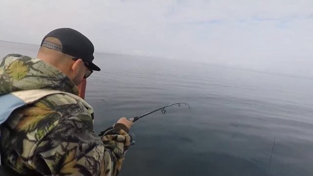 Морская рыбалка на Сахалине смотреть онлайн