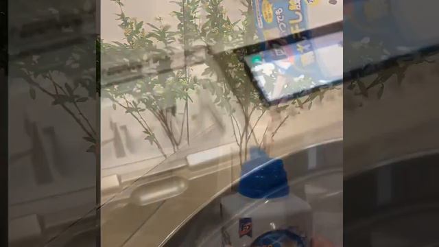 Концентрированный гель для стирки белья. Япония смотреть онлайн