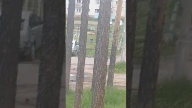 рубрика Новая Игирма смотреть онлайн