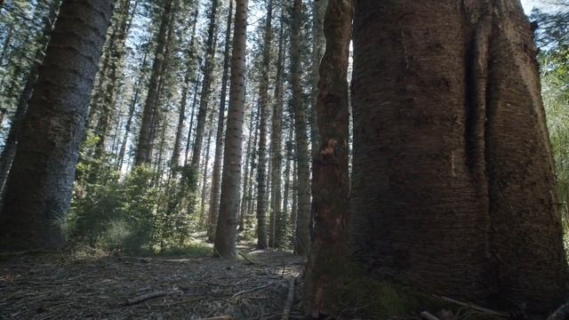 Josef Bel Habib - Are There Angels / Relaxing Piano Music / Piano For Stress Relief / Epidemic Soun смотреть онлайн