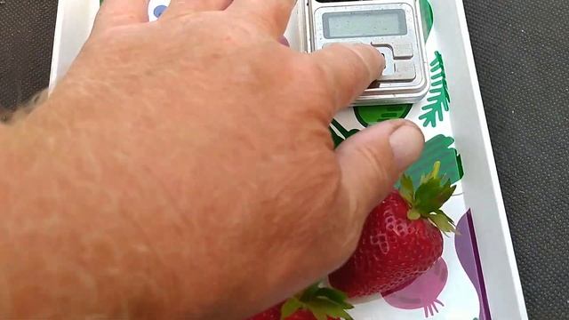 Клубника Сибилла и Сенсация обзор и дегустация смотреть онлайн