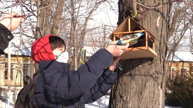Акция "Покормите птиц" смотреть онлайн