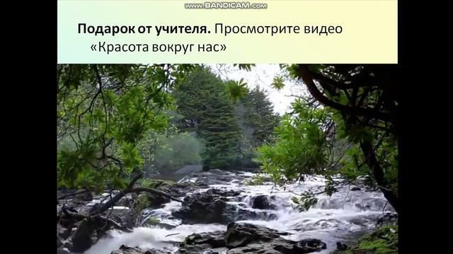 Урок самопознания 2 класс В мире красоты смотреть онлайн