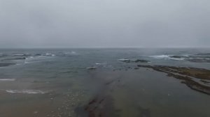 10 ЖИВОТНЫХ ВЫМЕРШИХ ИЗ ЗА ЧЕЛОВЕКА