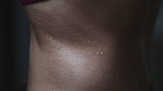 Mammals For Kids | Learn All About The Unique Characteristics Of Mammals And What Mammals Are!