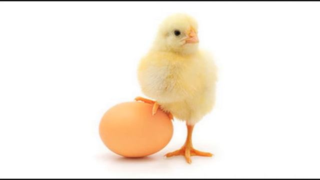 Руна Уруз. смотреть онлайн