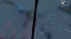 гризли и лемминги. медведь за рулем.