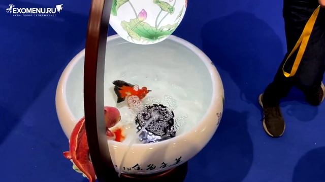 Прудики для золотых рыб на выставке CIPS 2019 в Шанхае.