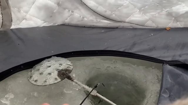 Ловля карася в пруду! Зимний карась с ночёвкой! смотреть онлайн