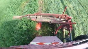 Косим сено с роторной косилкой wirax 1.65 . Трактор т-25.