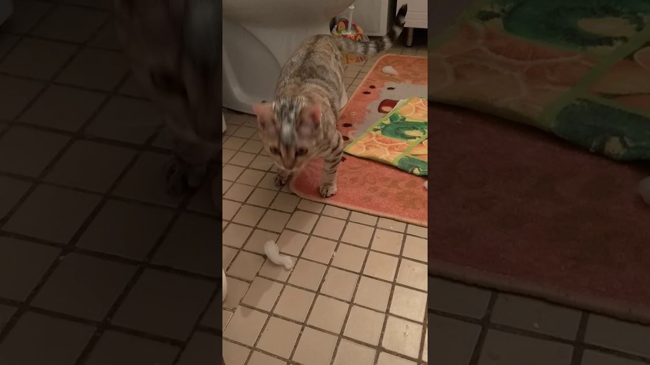 22 января 2020 г. смотреть онлайн