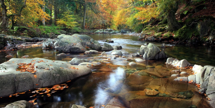 Лучшее успокаивающее журчание реки, щебетание птиц ✦ Успокаивающие Звуки ✦ Relax Sleep смотреть онлайн
