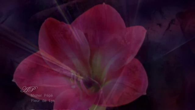 ♡ Michel Pépé - Fleur De Lys