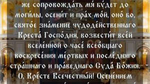 НЕЧИСТОГО ТРЯСЕТ ОТ ЭТОЙ МОЛИТВЫ. ОЧИСТЬ ТЕЛО И ДУШУ ОТ БЕСОВЩИНЫ. Молитва от бесов. Изгнание бесов