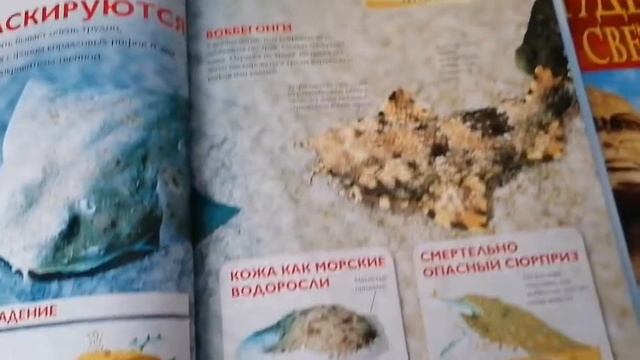 Детская энциклопедия 