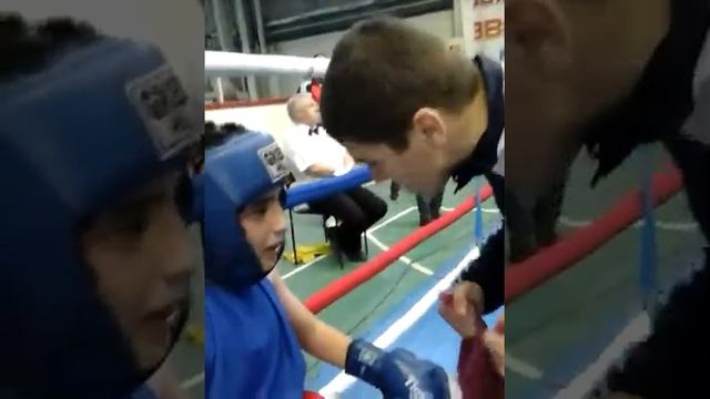 Г. Березовский , турнир по боксу ,Рамиль Тиминов смотреть онлайн