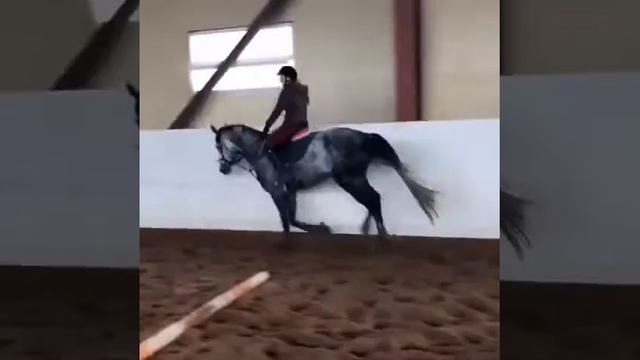 Гарсон упражнения ! смотреть онлайн