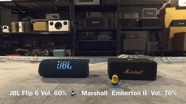 JBL Flip 6 vs Marshall Emberton 2 смотреть онлайн
