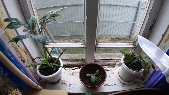 ЗАМЕНА ОКОН В ДЕРЕВЯННОМ ДОМЕ.Часть 1. смотреть онлайн