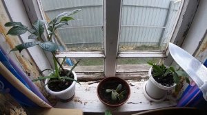 ЗАМЕНА ОКОН В ДЕРЕВЯННОМ ДОМЕ.Часть 1.