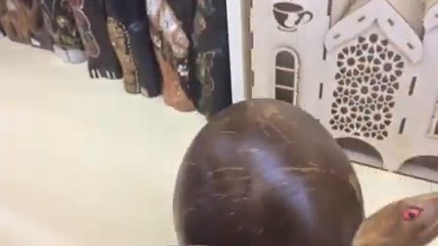 Черепаха-копилка