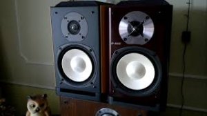 По просьбе моих подписчиков - тест акустики Онкио 312 и 302