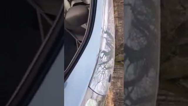 2010 Ford Taurus 4 alpine type R 12" смотреть онлайн