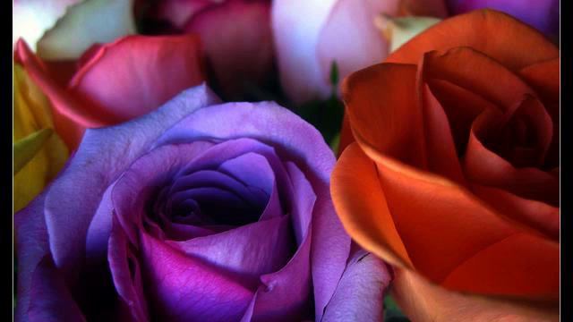 Семь самых хороших песен про любовь 2015 - смотреть... смотреть онлайн