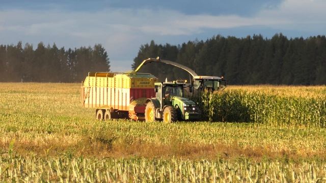 Уборка кукурузы на силос 2022.4K. смотреть онлайн