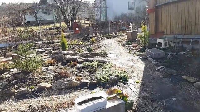 Поработали, можно и поболтать за чашкой чая! Моя любимая дача 16 апреля!