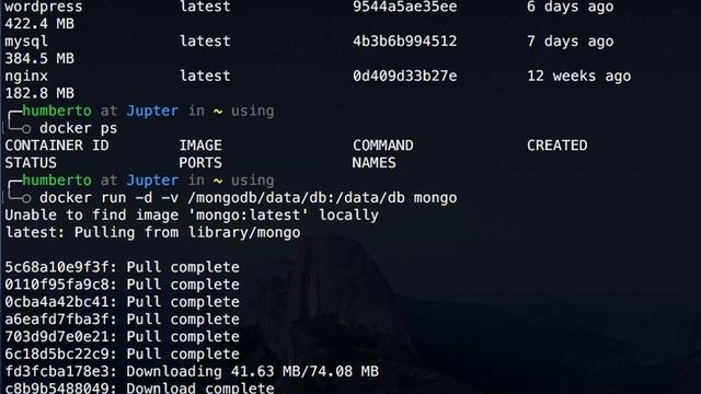 docker mongo смотреть онлайн
