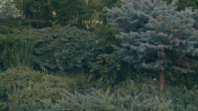 Подпорные стенки — что это и зачем они нужны? смотреть онлайн