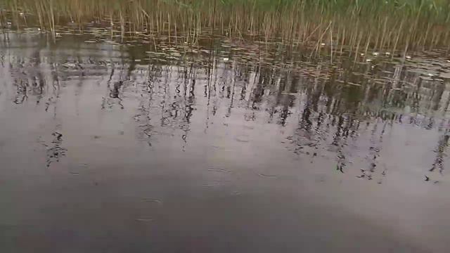 Шацьке Озеро ПРО яке ніхто не знає просто жесть смотреть онлайн