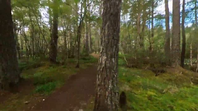 Glenmore Gravel Bike Loop - Filmed On An #insta360onex2 Camera