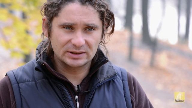 Мастер-класс: Александр Железняк | Анималистика смотреть онлайн