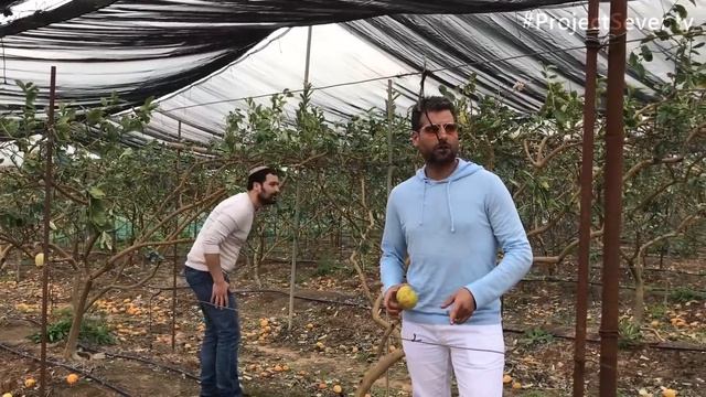 Kfar Chabad - First Chassidic Village in Israel смотреть онлайн